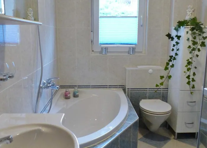 Am Schmachter * بينز